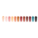 Palette de fards 10 teintes intense